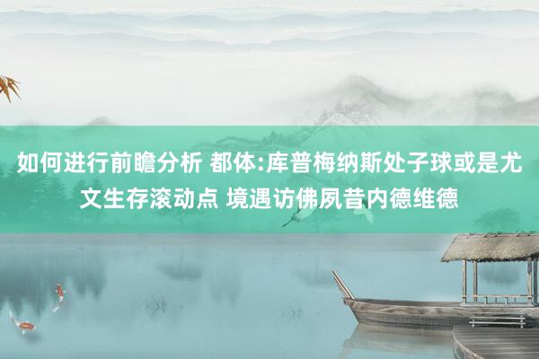 如何进行前瞻分析 都体:库普梅纳斯处子球或是尤文生存滚动点 境遇访佛夙昔内德维德