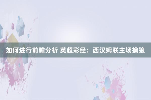 如何进行前瞻分析 英超彩经：西汉姆联主场擒狼