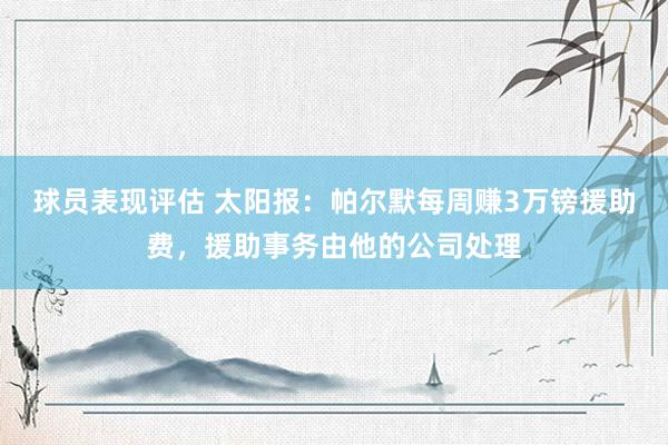 球员表现评估 太阳报：帕尔默每周赚3万镑援助费，援助事务由他的公司处理