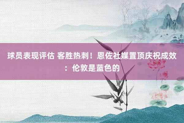 球员表现评估 客胜热刺！恩佐社媒置顶庆祝成效：伦敦是蓝色的