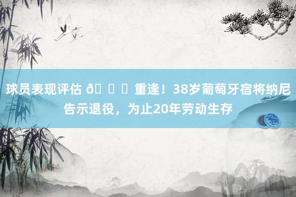 球员表现评估 👋重逢！38岁葡萄牙宿将纳尼告示退役，为止20年劳动生存